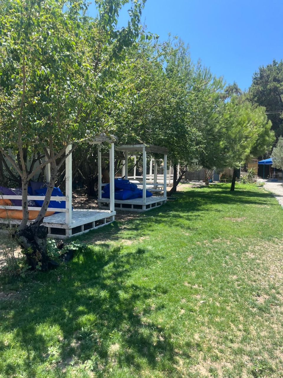 Alice in Boyabağı Camping