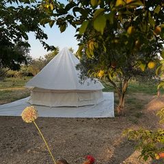 Zen Sığacık Kamp Alanı ve Bahçe