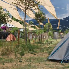 Bambu Kamp