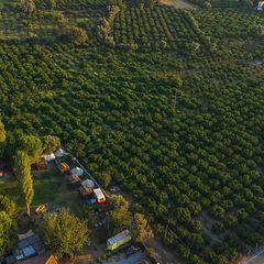 Mona Glamping Caravan Suites