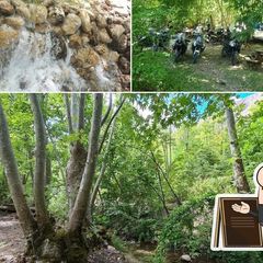 Doğaperest  Kamp Alanı