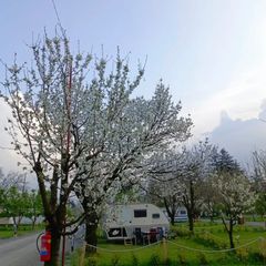 Caravan Life Sapanca