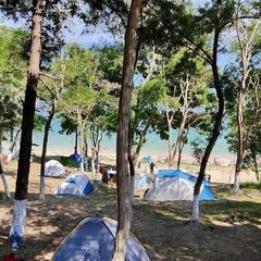 Sinop Orman Kampı