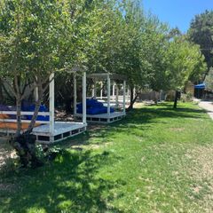 Alice in Boyabağı Camping