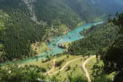 Çamlık Kamp Alanı