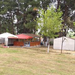 Barış Camping