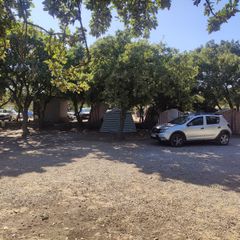 Molivos Camping