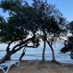 Turnalı Boncuk Camping