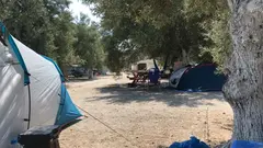 Zeytin Gölgesi Camping
